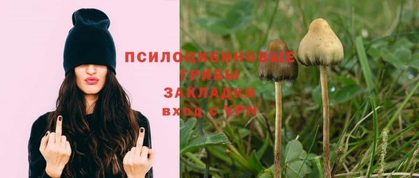 ECSTASY Аркадак