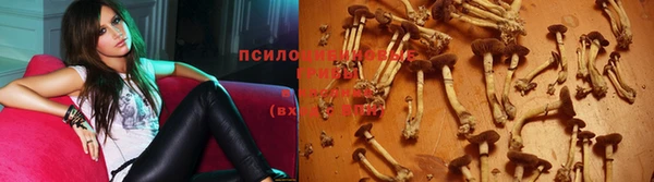 мет Арсеньев