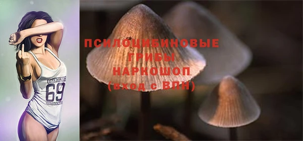 мет Арсеньев