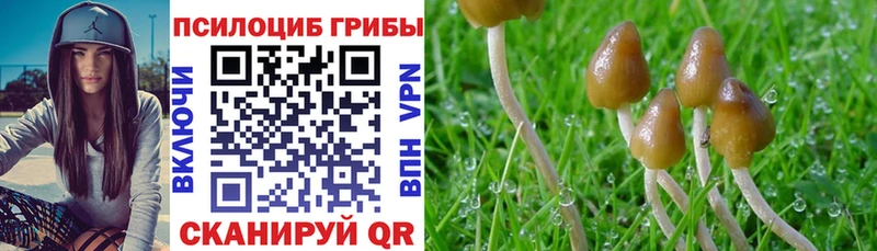 Галлюциногенные грибы мухоморы купить наркотик Салаир